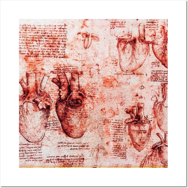 Heart And Its Blood Vessels. Leonardo Da Vinci Anatomy Drawings in Red Wall Art by BulganLumini